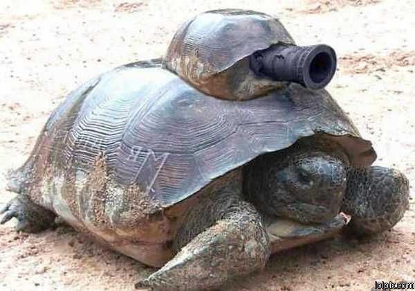 turtletank_zps8ec06233.jpg