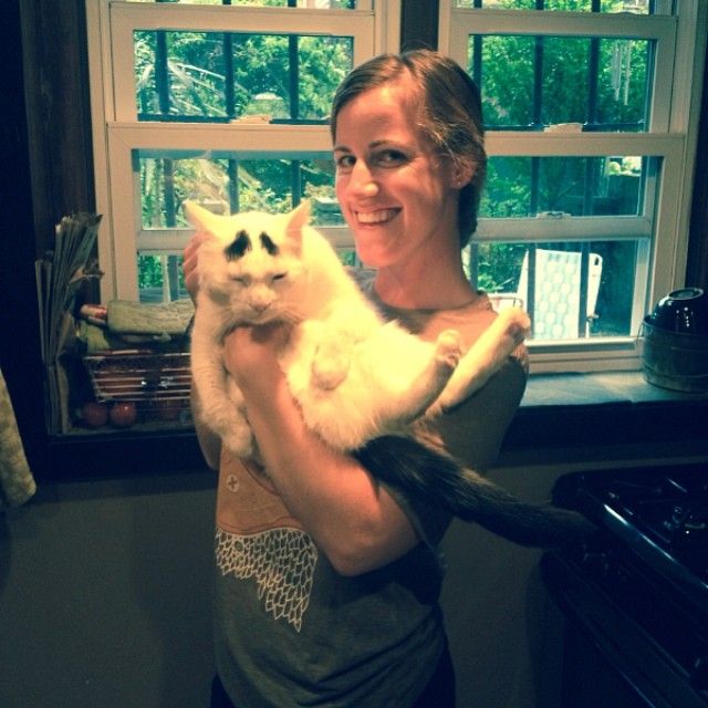 Sam The Cat With Eyebrows Sam The Cat With Eyebrows.jpg