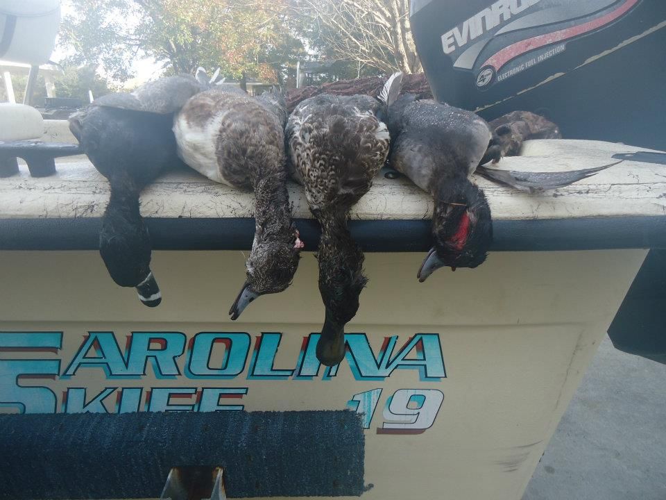 Off Season Dreams Duck Hunting Forum