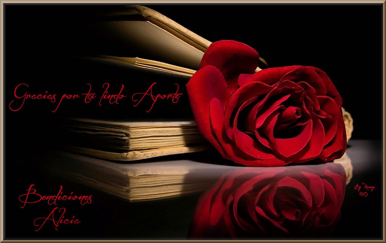  photo Beautiful-Red-Roses-roses-34610971-1280-800-Copy26_zps68ed1ae2.jpg