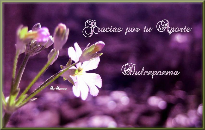  photo imagens-flores - Copy 2_zpsxdclbad6.jpg