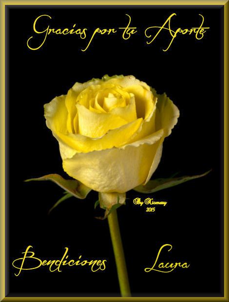  photo photo-24687778-yellow-single-stemmed-rose-on-black-background-Copy-Copy10_zpsfe8e1c54.jpg