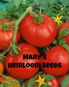 Mary’s Heirloom Seeds