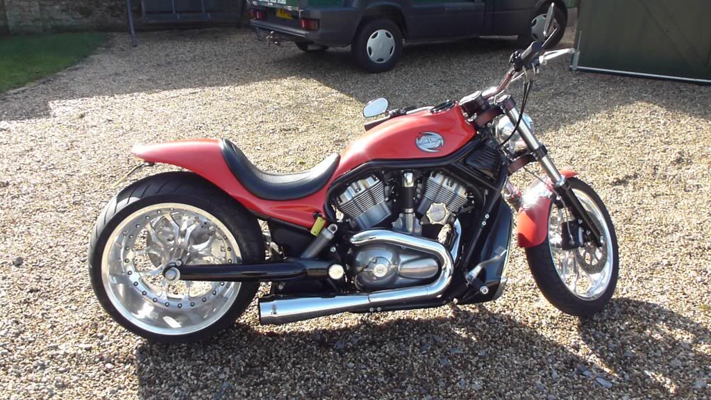 benelli harley