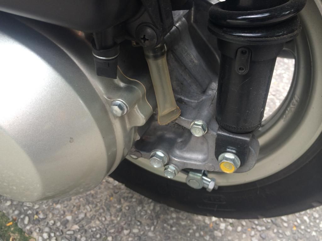 Lead 110 màu nâu 11/2013 - 2