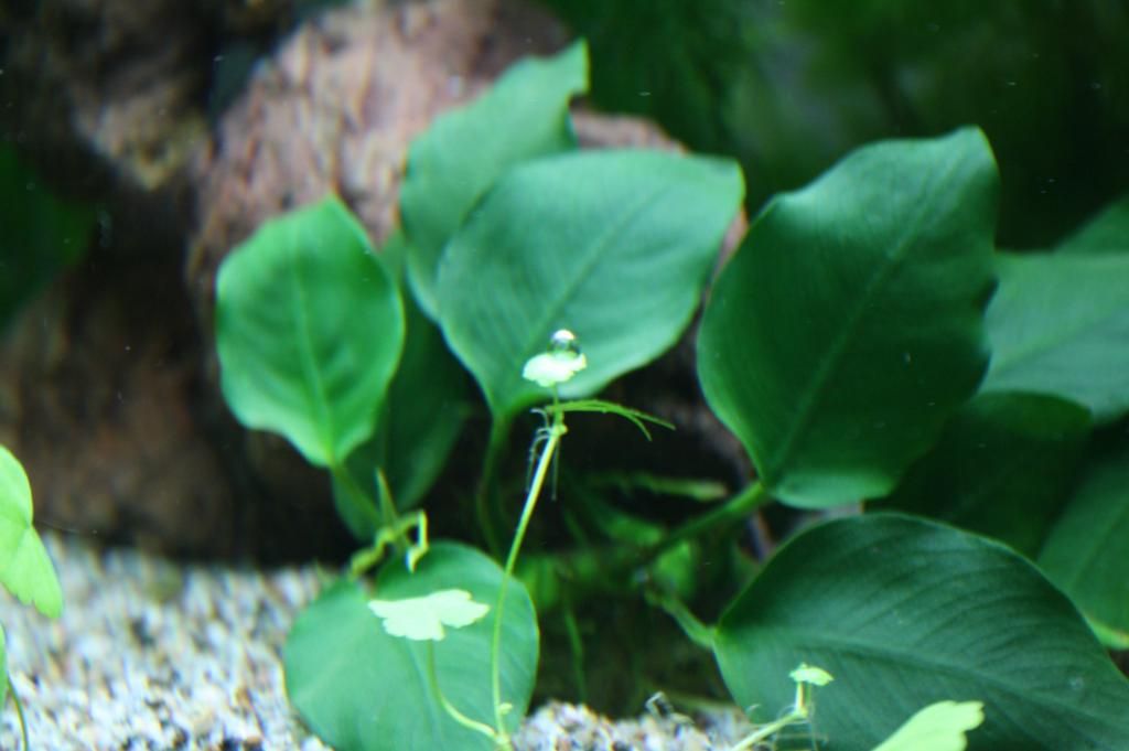 IMG_3625_zps08306db5.jpg