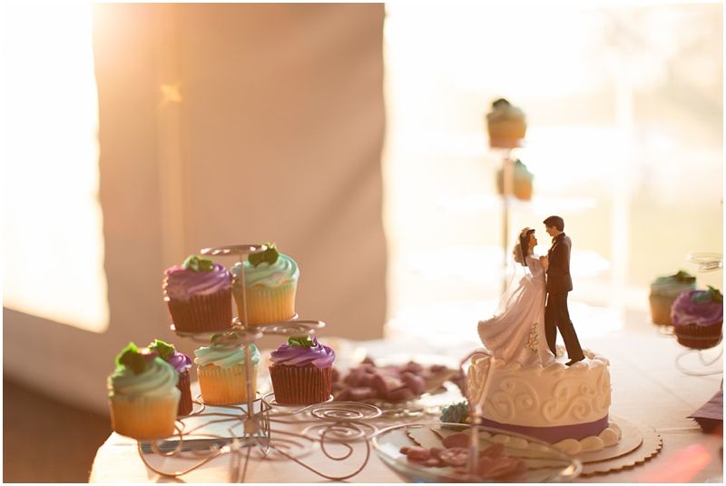 photo WeddingsSpringfieldPhotographer_0021_zps240c57bb.jpg