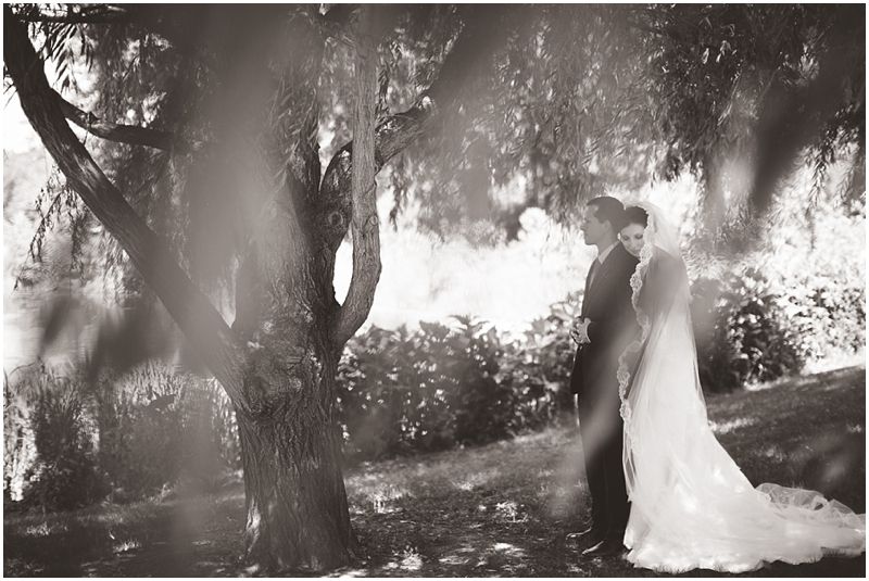 photo WeddingsSpringfieldPhotographer_0046_zps7b3a9c00.jpg