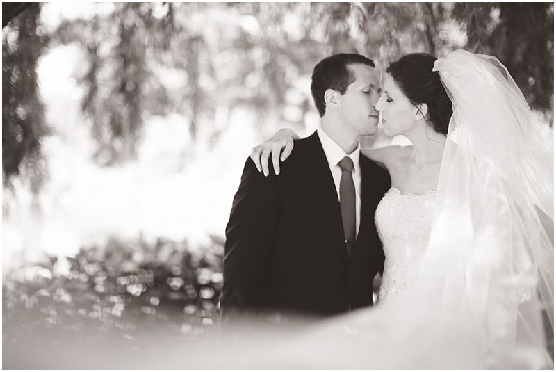 photo WeddingsSpringfieldPhotographer_0047_zps57427fdb.jpg