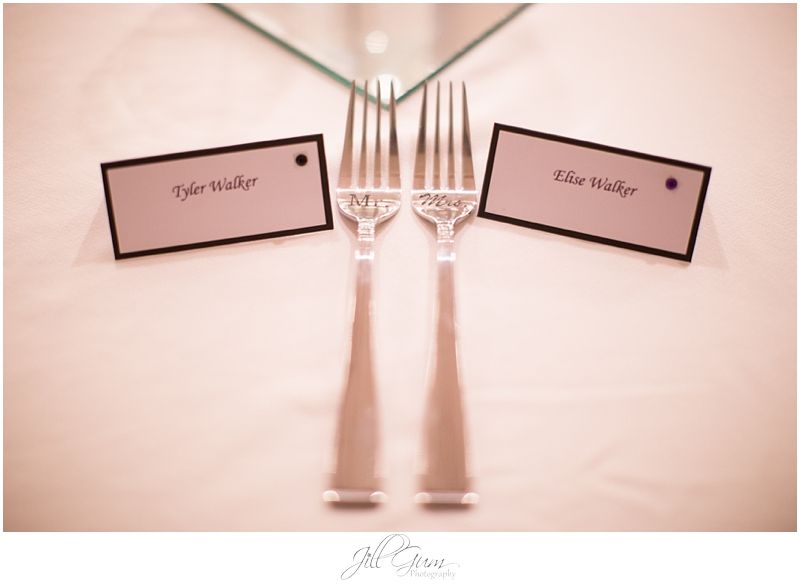  photo PurpleandBlackfallSpringfieldWedding_0009_zpse9a81965.jpg