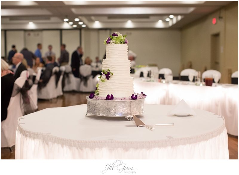  photo PurpleandBlackfallSpringfieldWedding_0104_zpsc1c95136.jpg