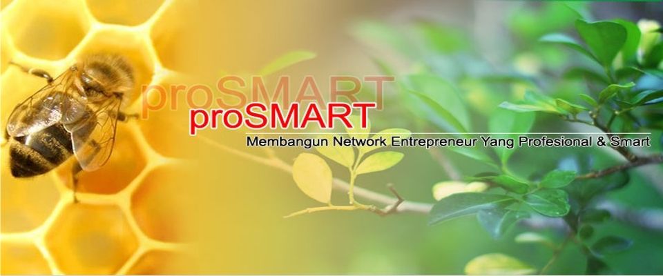 ProsmartBnadung