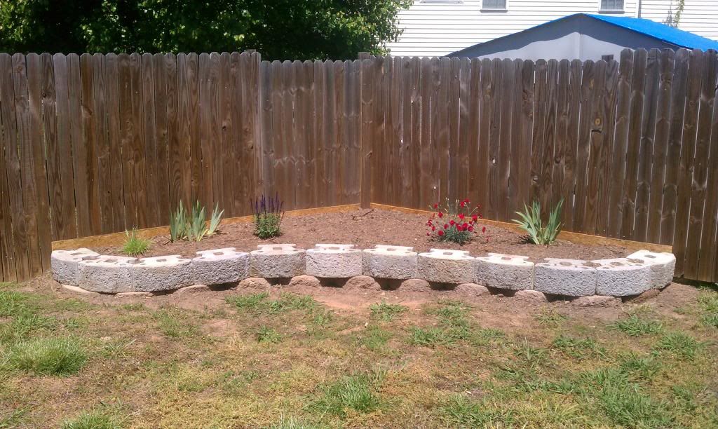 re low cost landscaping ideas needed re low cost landscaping ideas ...