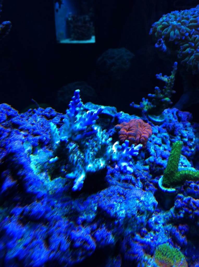 E6ED9300-B0BB-44C6-8286-235E2EF44859-4456-000002AE28A9F41E_zpsc6554086.jpg