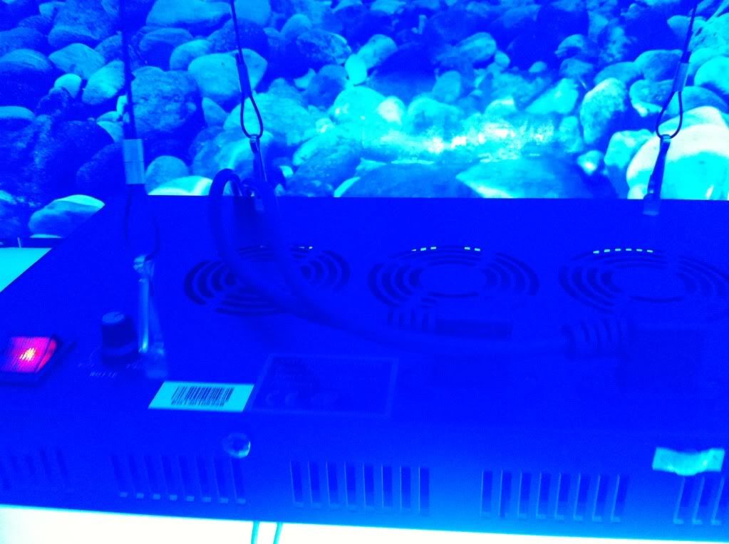 null_zps3606e39e.jpg
