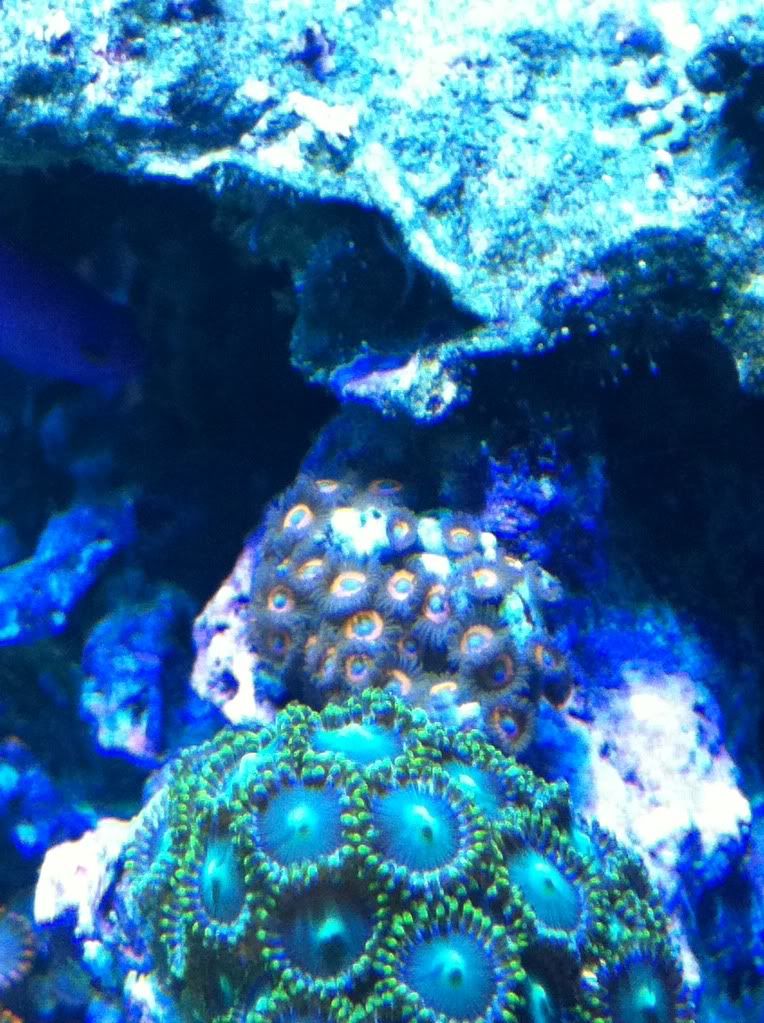 null_zps43bceba2.jpg