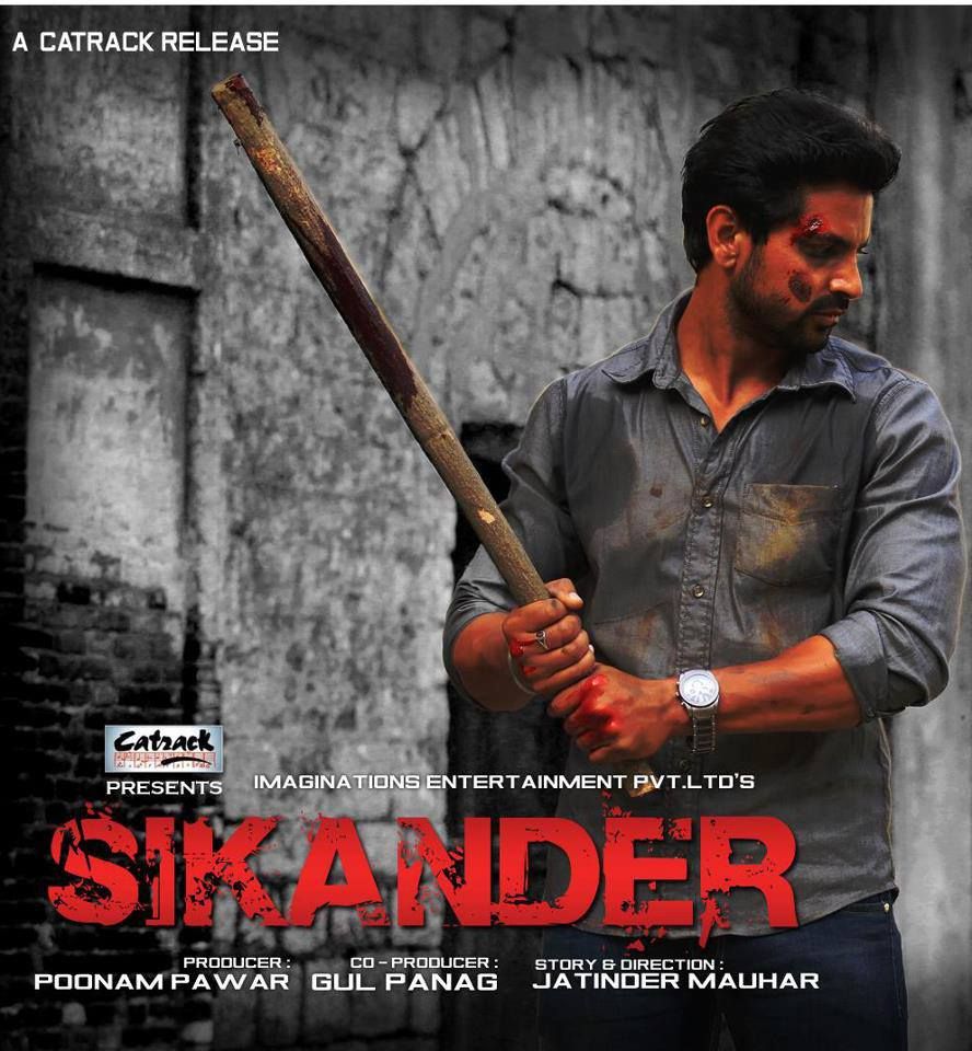 Punjabi Movies 2013